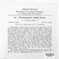 Cymadothea trifolii image